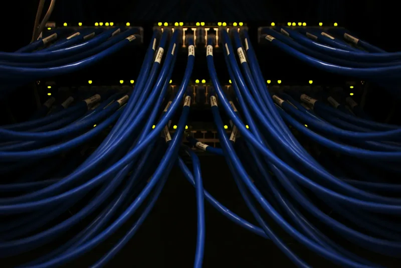 A dense bundle of blue network cables connected to switch ports