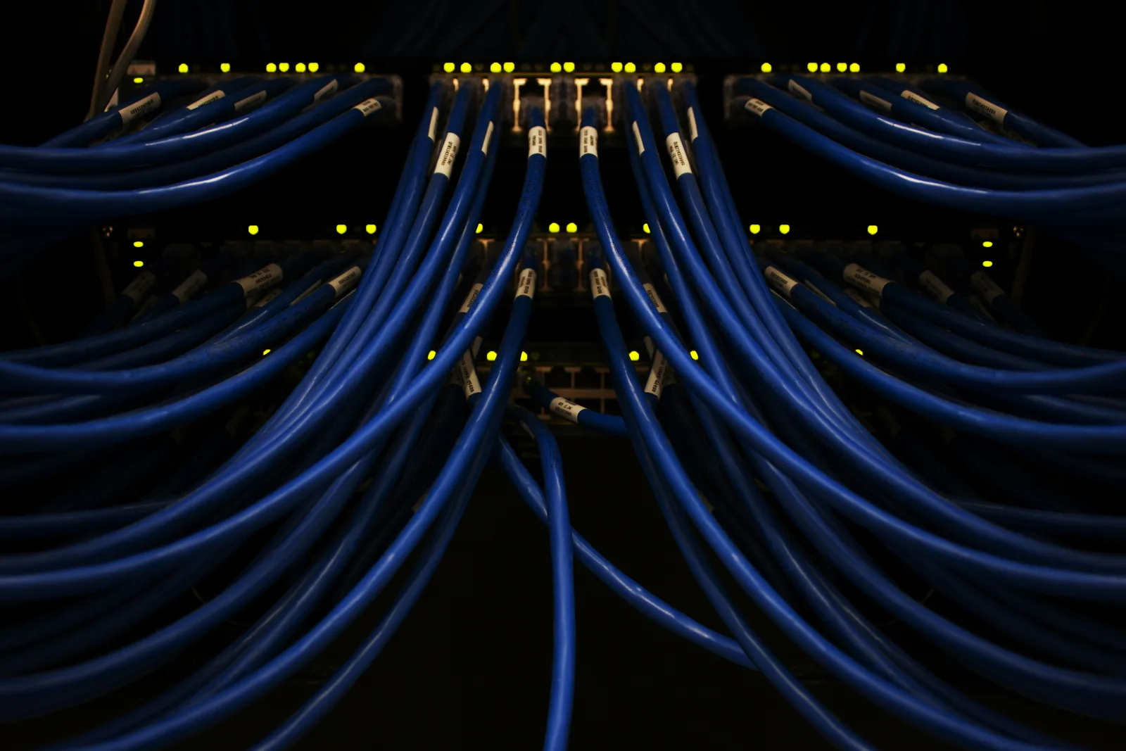 A dense bundle of blue network cables connected to switch ports